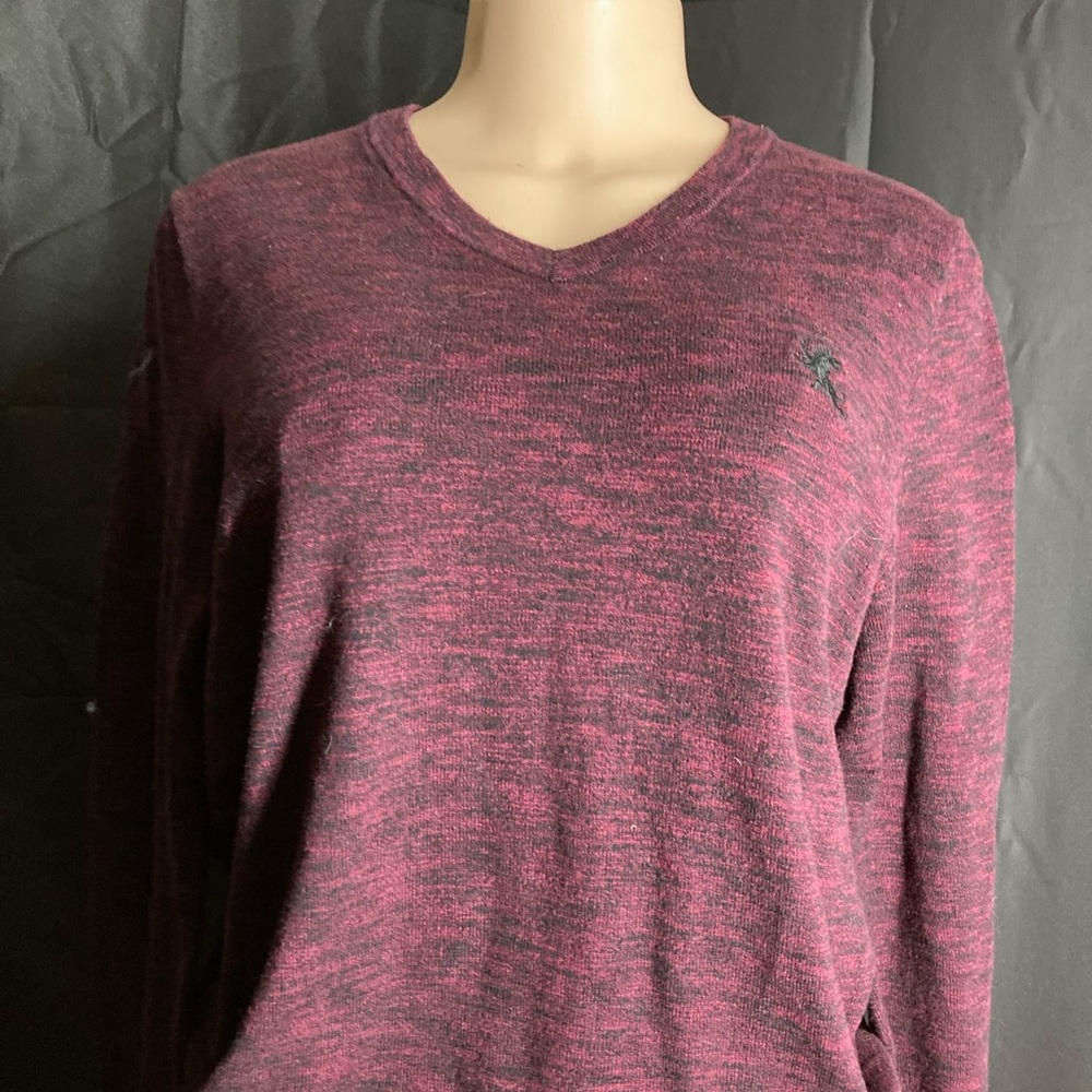 Maroon V-Neck Sweater